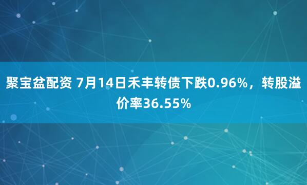 聚宝盆配资 7月14日禾丰转债下跌0.96%，转股溢价率36.55%