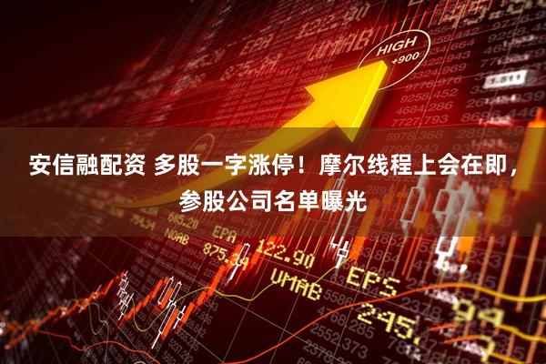 安信融配资 多股一字涨停！摩尔线程上会在即，参股公司名单曝光