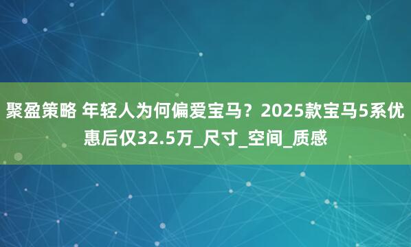 聚盈策略 年轻人为何偏爱宝马？2025款宝马5系优惠后仅32.5万_尺寸_空间_质感