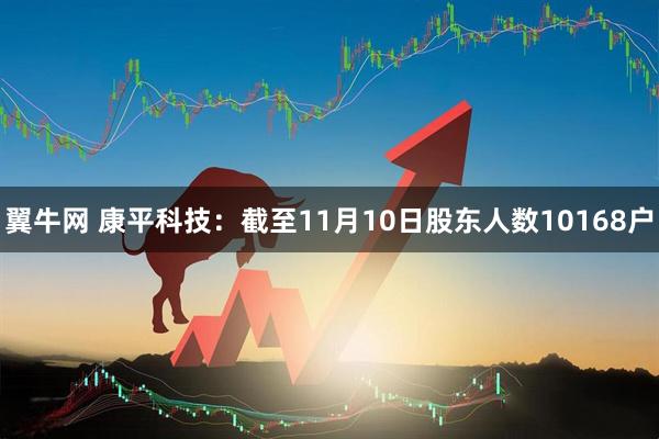 翼牛网 康平科技：截至11月10日股东人数10168户
